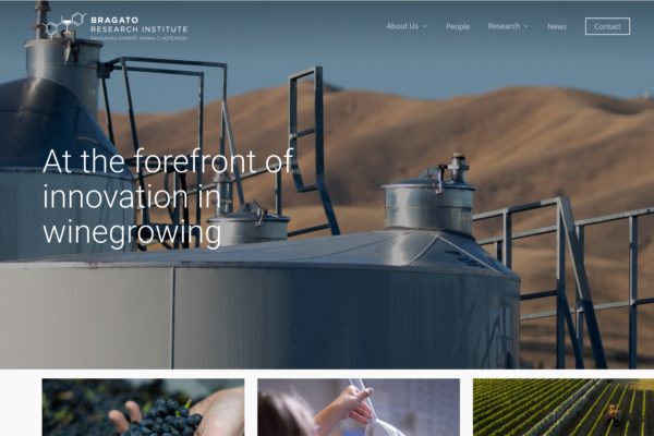 Screen grab from a website brand for the wine industry, by brand smiths Wonderlab.